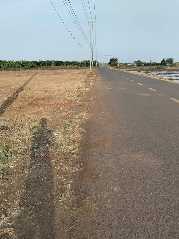 Đất nền liền kề tại Long Tân, Bà Rịa - Vũng Tàu 50m² giá chỉ 800 triệu - Cơ hội đầu tư hấp dẫn!