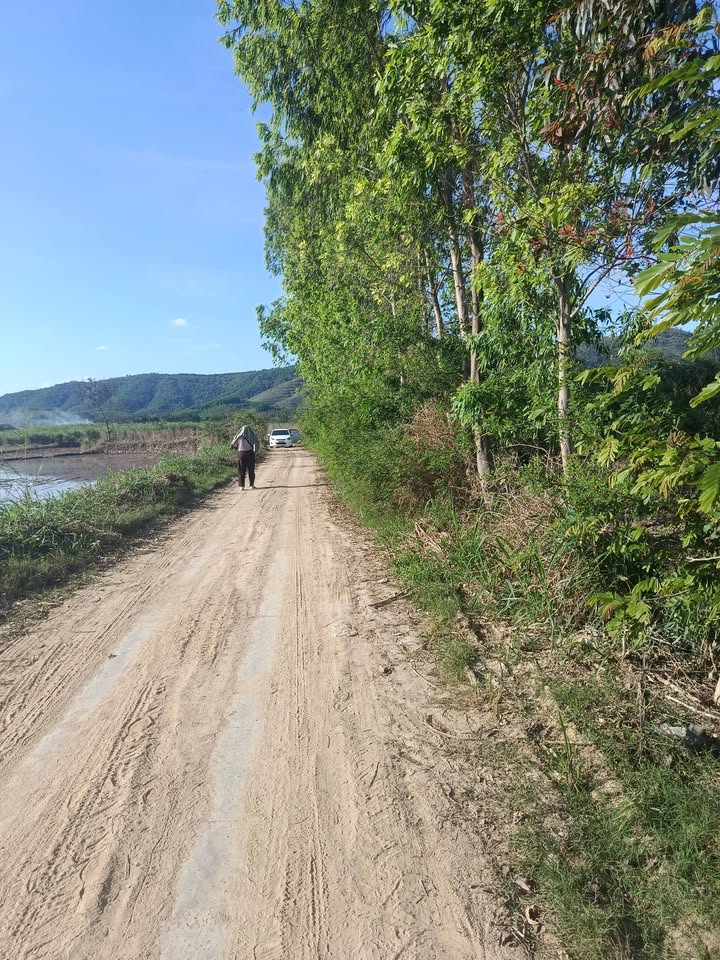 Lô đất cà phê Hòa Lễ Krông Bông 1ha1 giá 16 tỷ - Đầu tư sinh lời ngay!