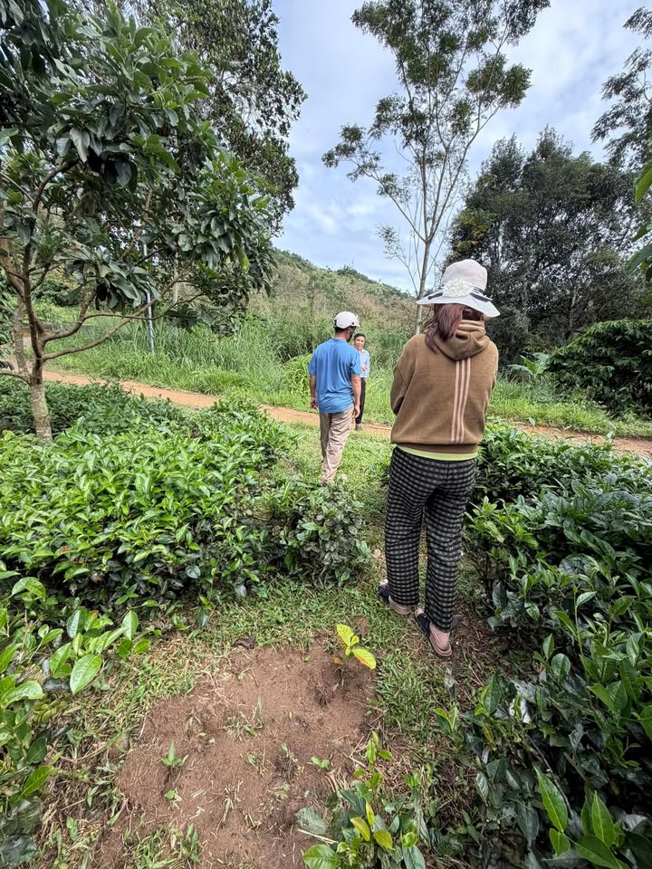 Đất nền thôn 10 Lộc Nam 900m² giá 252 triệu - Pháp lý rõ ràng, sẵn sàng công chứng ngay!