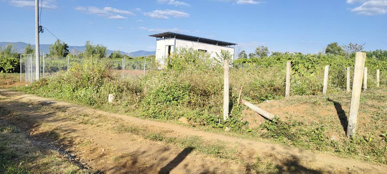 Lô đất hẻm 104 Trần Văn Ơn, Gia Lai 125m² - Cơ hội đầu tư tuyệt vời!