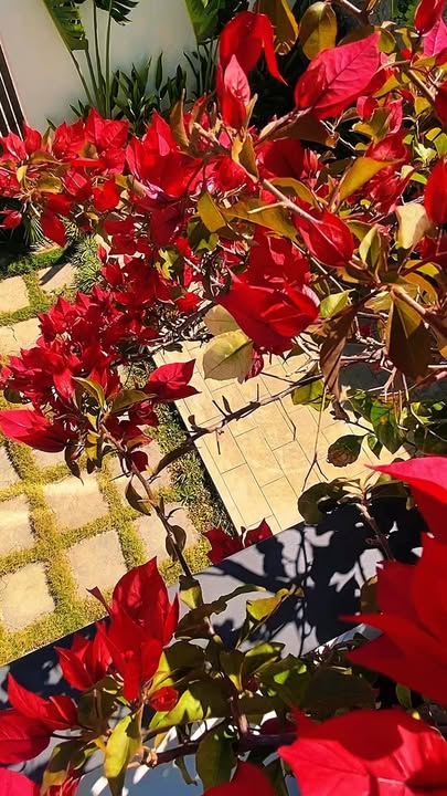 Nhà hẻm Đặng Trần Côn, Trà Bá, Pleiku 80m² giá 2.75 tỷ - Chính chủ bán gấp!