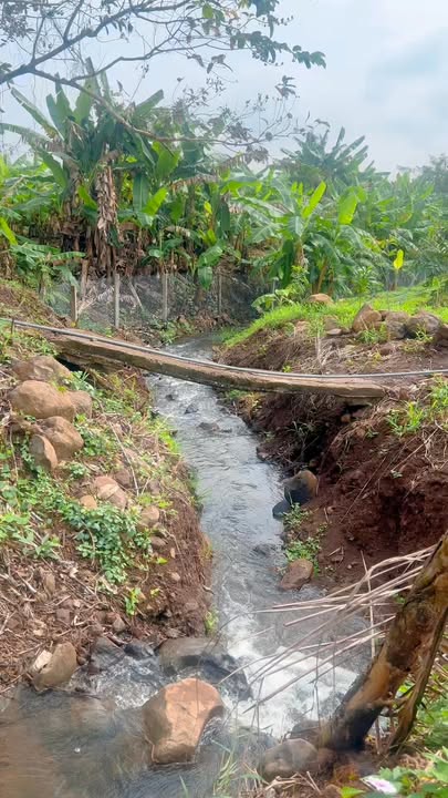 Đất vườn Long Tân 5000m² giá 5-7 tỷ - Suối tự nhiên độc bản chờ bạn sở hữu!