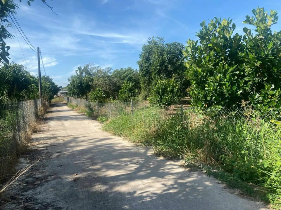 Đất nền Xuân Định, Xuân Lộc 2900m² giá 2.1 tỷ - Cơ hội đầu tư sinh lời!