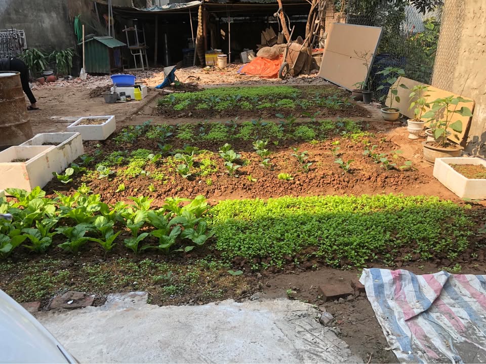 Đất nền Ngọc Hồi Thanh Trì 65m² giá 6.15 tỷ - Pháp lý rõ ràng, đầu tư sinh lời!