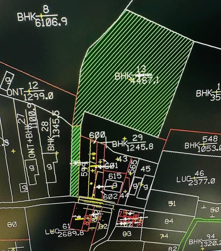 Lô đất mặt tiền đường Đá Xanh 4850m² - Chính chủ bán gấp chỉ 10 tỷ!