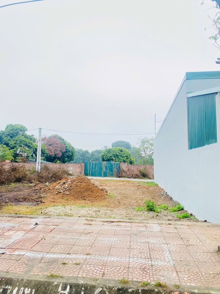 Đất nền Ngoại Trạch, Tam Hợp 100m² giá 1.9 tỷ - Vị trí đẹp, đầu tư sinh lời!