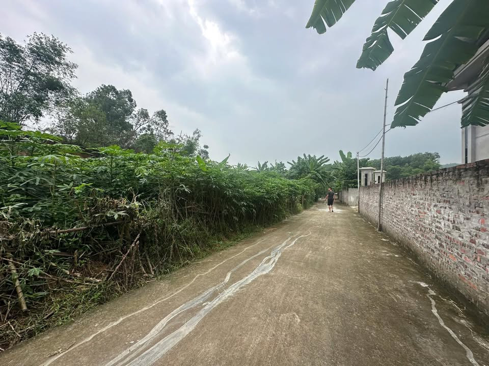 Đất nền Liên Xã, Tử Du, diện tích 335m² giá chỉ 500 triệu - Cơ hội đầu tư tuyệt vời!