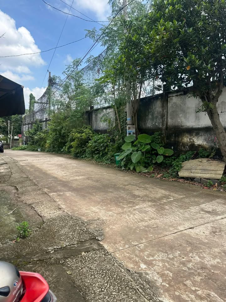 Đất nền gần trường chuyên Quang Trung, 185m² giá chỉ 800 triệu - Cơ hội đầu tư tuyệt vời!