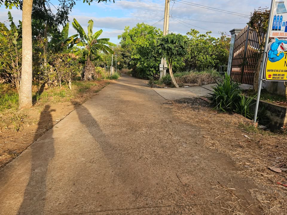 Đất nền Thôn 3, Xã Thiện Hưng, Huyện Bù Đốp 23100m² chỉ 400 triệu - Cơ hội đầu tư hấp dẫn!