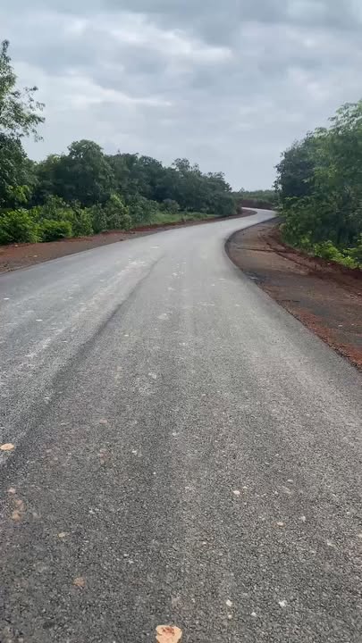 Đất nền 11,000m² Phú Riềng - Giá chỉ 1.6 tỷ - Thế đất cao, dễ chịu!