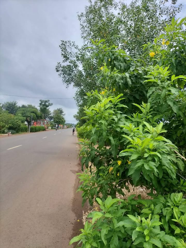 FrontHouse mặt tiền ĐT 759B, 95.000m² giá 4.18 tỷ - Kinh doanh đắc địa!