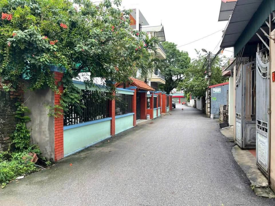 Đất nền Tân Mỹ Bắc Giang 77m² giá 2 tỷ - Đầu tư sinh lời ngay!