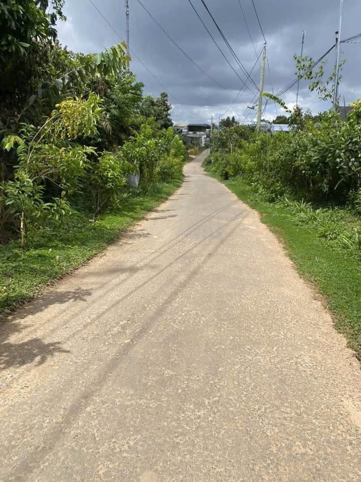 Đất thổ cư 2100m² tại Lộc Thành, Bảo Lâm - Giá chỉ 2.1 tỷ, nở hậu, view thoáng!