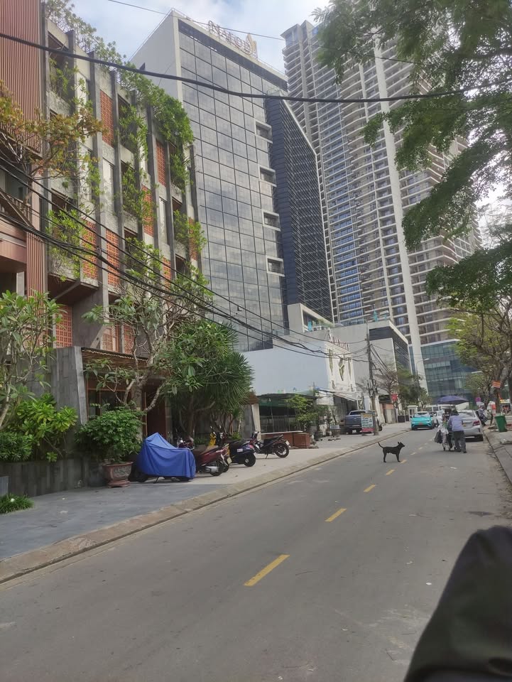 Đất nền biển Võ Nghĩa, Sơn Trà 292m² giá 49 tỷ - Cơ hội đầu tư tuyệt vời!