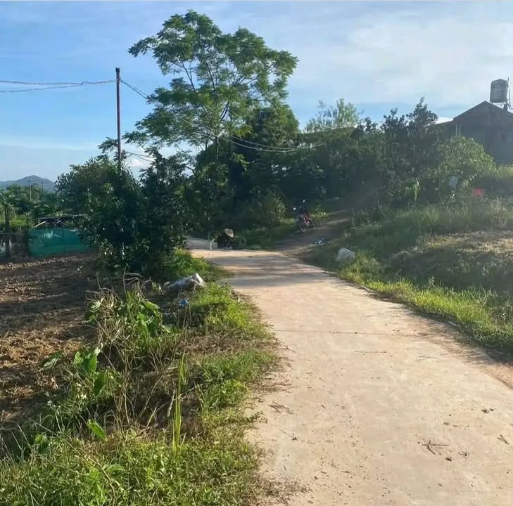 Đất nền xã Phúc Trìu, 252m² giá 1 tỷ - Đầu tư sinh lời hấp dẫn!