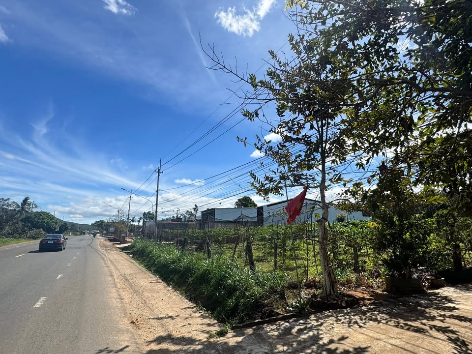 Đất nền Quốc Lộ 14, Ia Ly 816m² chỉ 2.4 tỷ - Đầu tư sinh lời ngay!