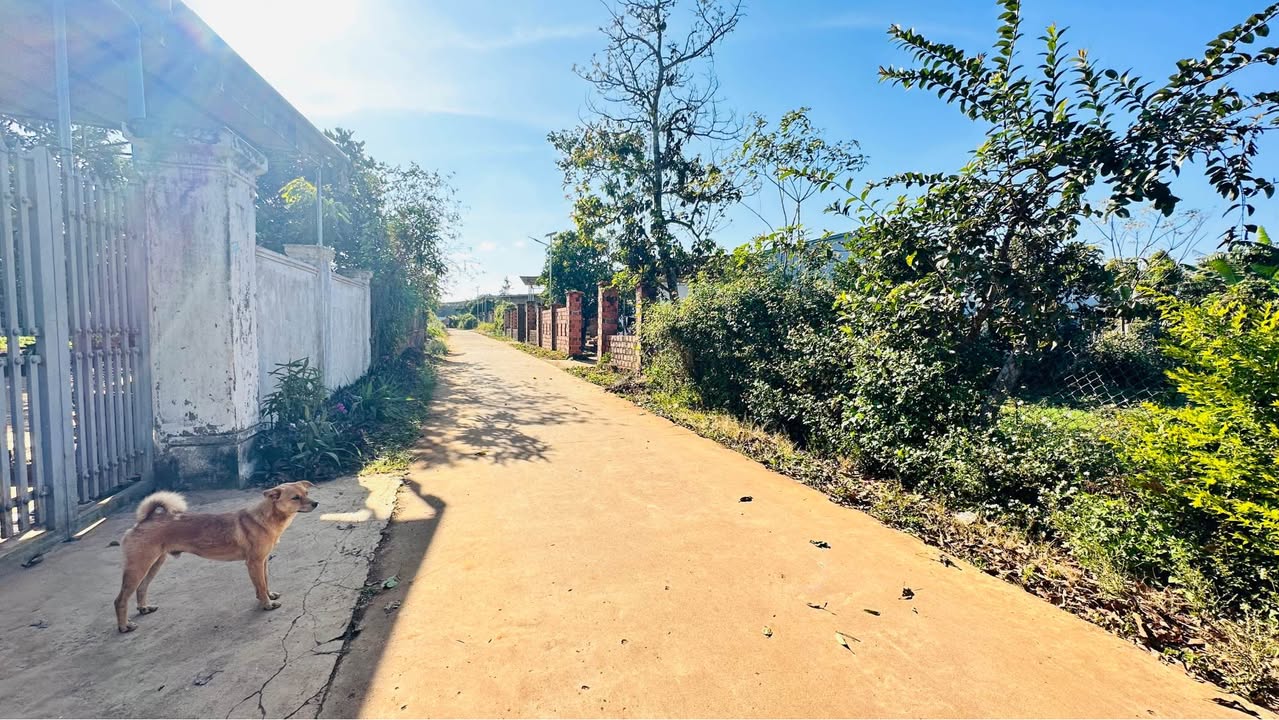 Đất thổ cư hẻm Lý Thường Kiệt An Phú 280m² giá chỉ 1 tỷ - Cơ hội vàng đầu tư!