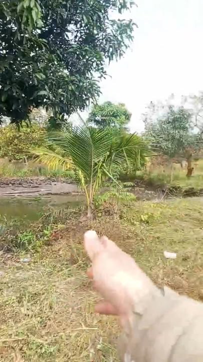 Đất nền 7200m² tại xã Cư ÊBur, Buôn Ma Thuột - Giá 850 triệu, Phù hợp nghỉ dưỡng!