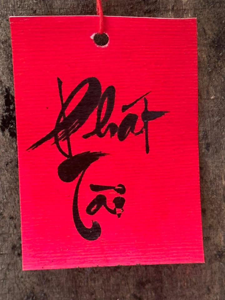 Đất nền mặt tiền Sử Hy Nhan, Huế 125m² giá 2.4 tỷ - Sổ đỏ chính chủ, thương lượng tốt!