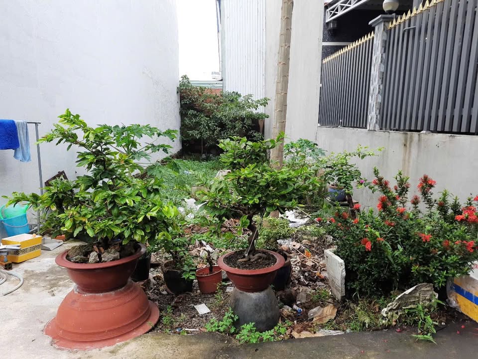 Đất nền Quận 12 64m² giá 2.55 tỷ - Sổ đỏ chính chủ, bớt lộc!