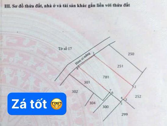 Đất nền Hóc Môn 240m² giá 5.6 tỷ - Nhanh tay sở hữu vị trí đắc địa!