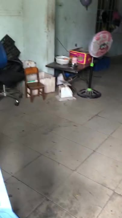 Nhà mặt tiền đường 1A Vĩnh Lộc 80m² giá 5 triệu - Thích hợp kinh doanh đa ngành!