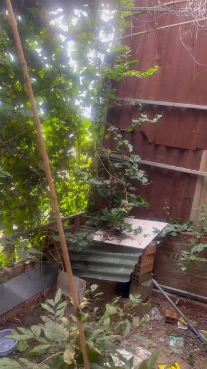 Nhà cho thuê 3, Đường Nguyễn Thị Trọn, 64m² - Giá chỉ 2 triệu/tháng!