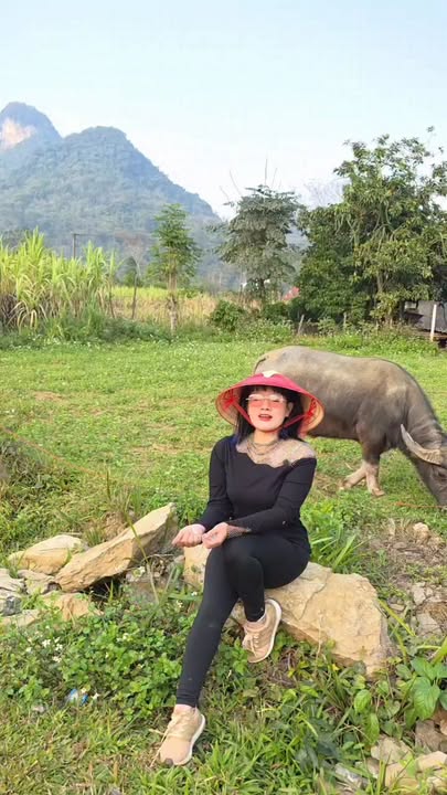 Đất nền Phú Vinh, Tân Lạc, Hòa Bình 173m² giá chỉ 200 triệu - Cơ hội đầu tư tuyệt vời!