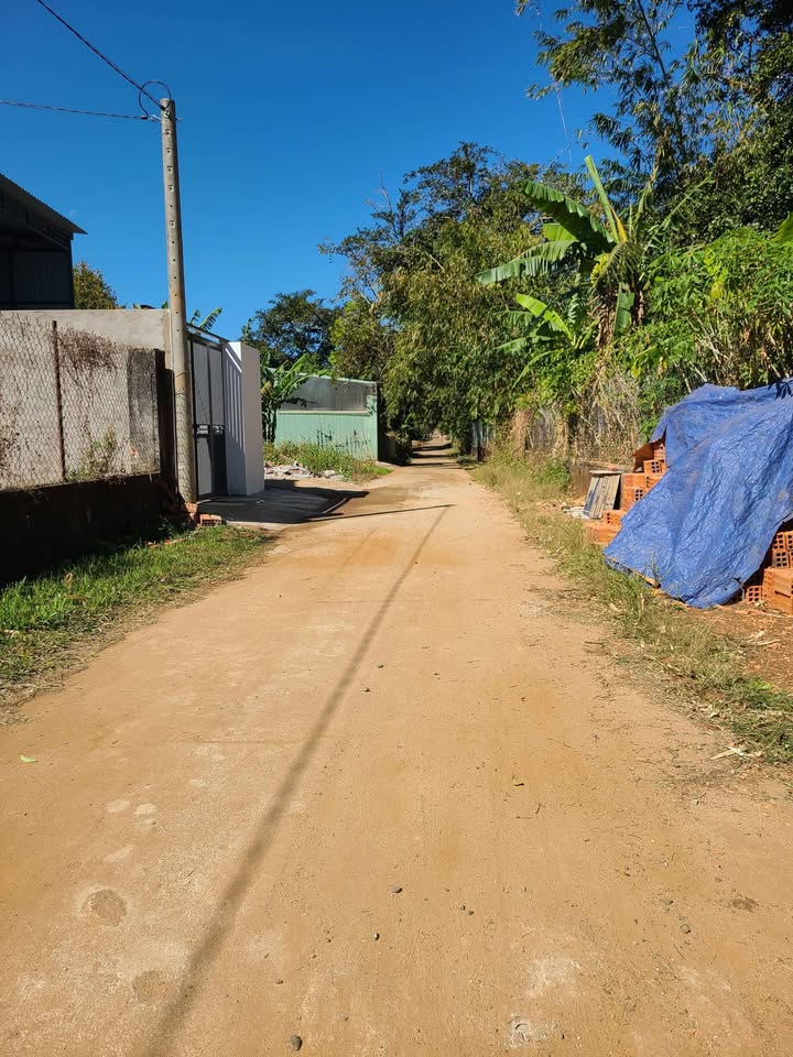 Đất nền 230 Tôn Đức Thắng, Biển Hồ 225m² giá 1.4 tỷ - Đầu tư sinh lời hấp dẫn!