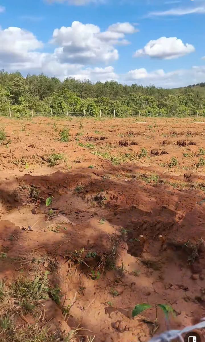 Bán đất xã Ia Dom, huyện Đức Cơ, Gia Lai 8000m² - Giá tốt, bao bìa!