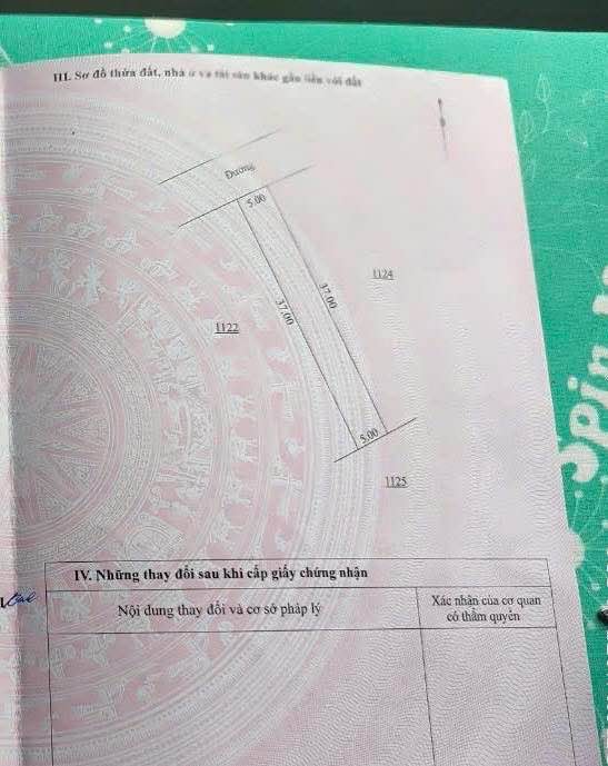 Đất nền 185m² hẻm Lý Chính Thắng, Phường Hội Phú, giá 2-3 tỷ - View ruộng tuyệt đẹp!