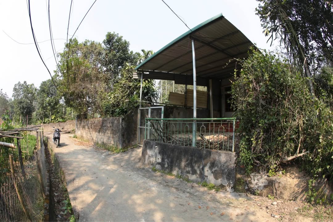 Đất Bãi Nai 185m² giá 925 triệu - Vị trí đắc địa, giao thông thuận tiện!