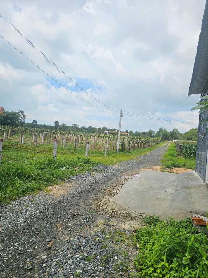 Đất trung tâm Tân An - hẻm Hoàng Diệu 1650m² giá 3.2 tỷ - Đầu tư sinh lời!