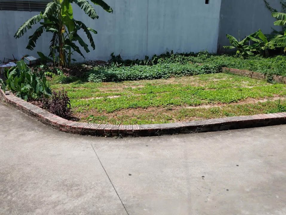 Đất nền lô góc 2 mặt tiền tại Đồng Lạc, Sóc Sơn - 83m² chỉ 2.72 tỷ, cơ hội đầu tư lý tưởng!