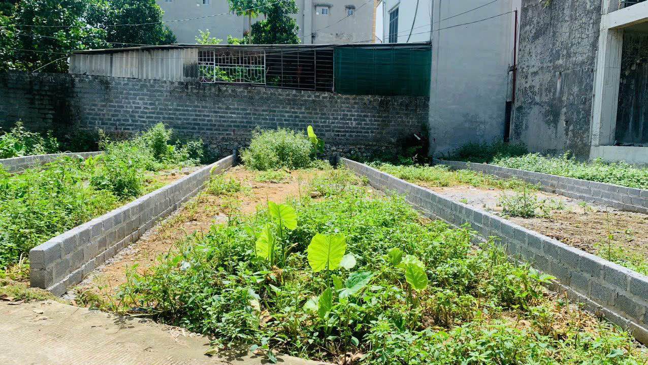 Đất nền 70,4m² tại thị trấn Lương Sơn, Hòa Bình - Giá chỉ 1,7 tỷ, sổ đỏ sẵn!