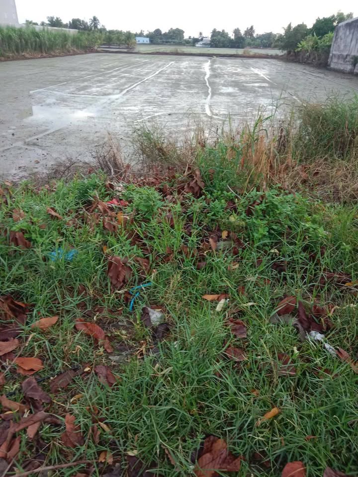 Đất mặt tiền Xuyên Á, Thạnh Lộc, 4684m² giá 3.75 tỷ - Đầu tư sinh lời lý tưởng!