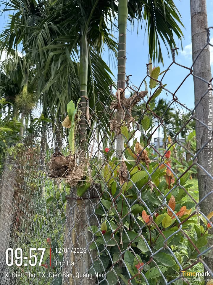 Đất nền lô góc Khu Đô Thị Điện Thắng 110m² giá 3 tỷ - Đầu tư sinh lời ngay!