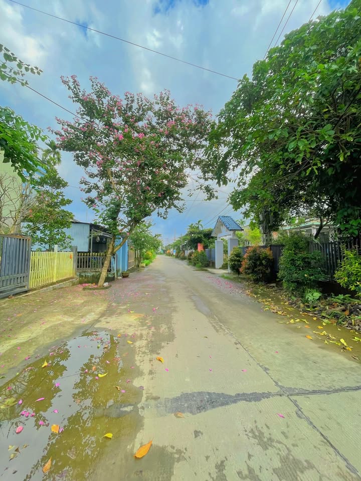 Đất nền Xã Điện Hồng 90m² giá 850 triệu - Vị trí đắc địa gần SVĐ Điện Hồng!