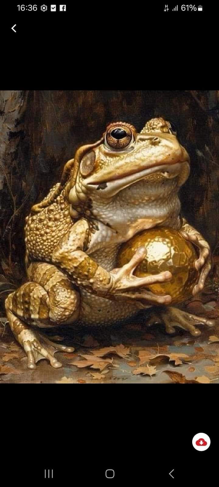 Nhà riêng Phố Quán Thánh, Ba Đình 36m² giá 6.55 tỷ - Tiện ích ngập tràn, vị trí trung tâm!