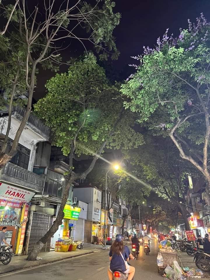 Mặt phố lô góc Đội Cấn, 22m² giá 11.8 tỷ - Kinh doanh sầm uất!