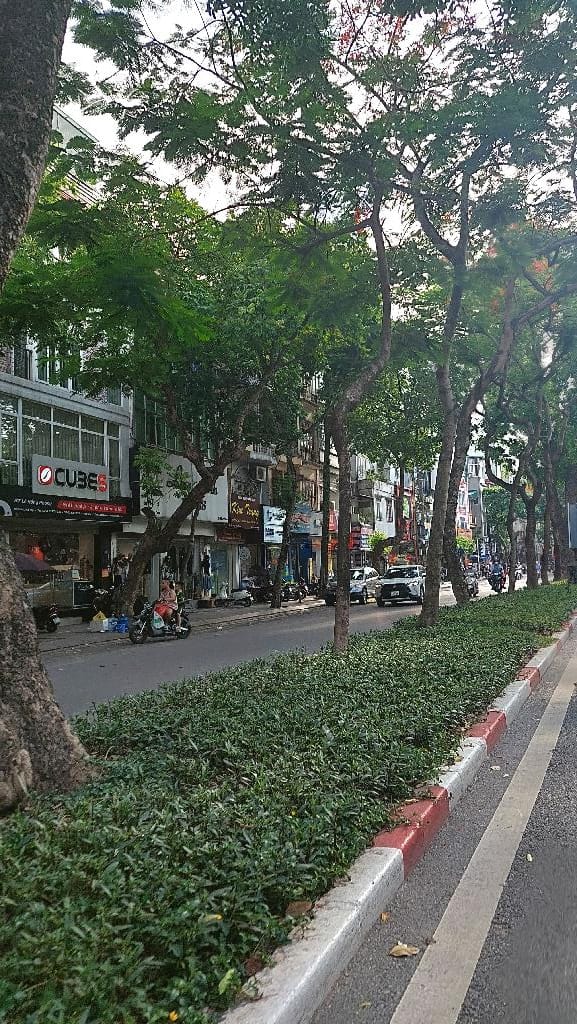 Nhà phố phân lô quân đội Lê Hồng Phong, Ba Đình 43m² giá 9.2 tỷ - An ninh tốt, kinh doanh homestay lý tưởng!