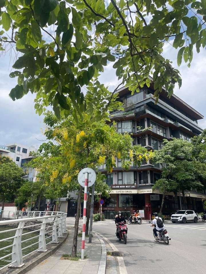 Đất Võng Thị 65m² giá 16.5 tỷ - Sổ đỏ chính chủ, tặng giấy phép xây dựng!