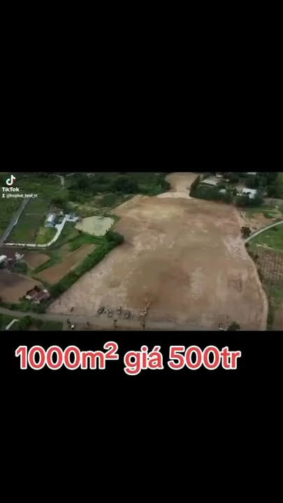 Đất nền Láng Dài 6 sào giá chỉ 680 triệu - Sổ riêng sang tên ngay!