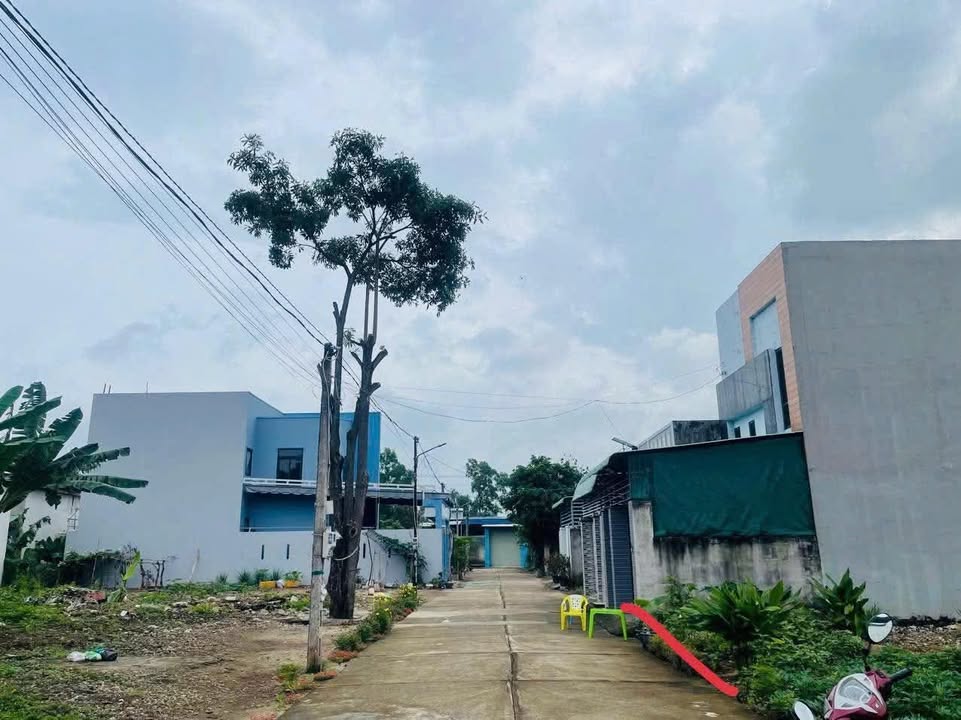 Đất nền Hoà Long Bà Rịa 100m² giá chỉ 1.39 tỷ - Đầu tư lợi nhuận cao!