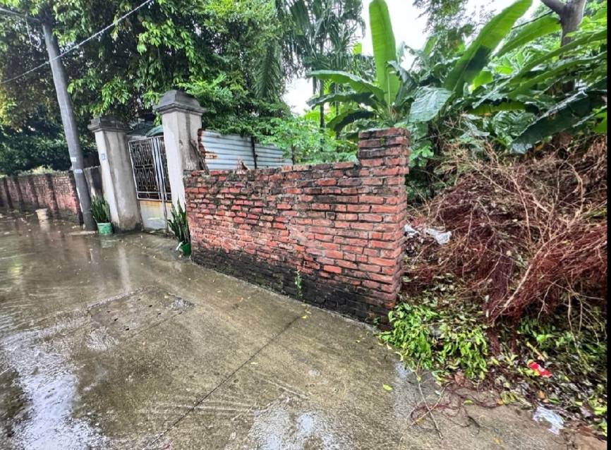 Đất nở hậu Gia Lâm 50m² giá 3 tỷ - Ô tô đỗ cửa ngay!