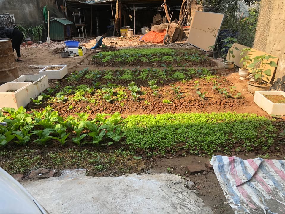 Đất nền Ngọc Hồi, 65m² giá 6.15 tỷ - Vị trí đắc địa, sổ đỏ chính chủ!