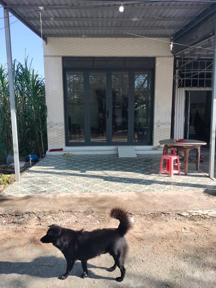 Nhà cấp 4 chính chủ tại chợ Láng Biển, 79m² chỉ 950 triệu - Cơ hội vàng cho bạn!