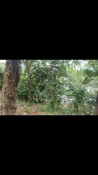 Đất nền 1ha2 Su Già Đức Liễu 2 tỷ - View hồ Thác Mơ tuyệt đẹp!