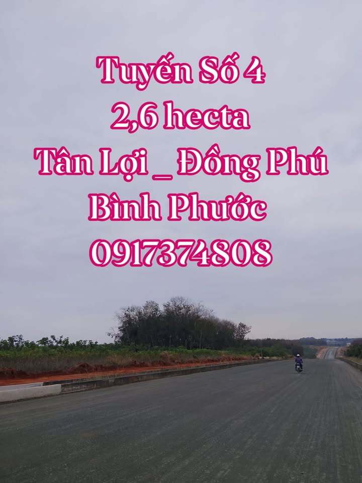 Đất nền Tân Lợi, Đồng Phú, Bình Phước 26.000m² giá 6.5 tỷ - Cơ hội đầu tư bền vững!