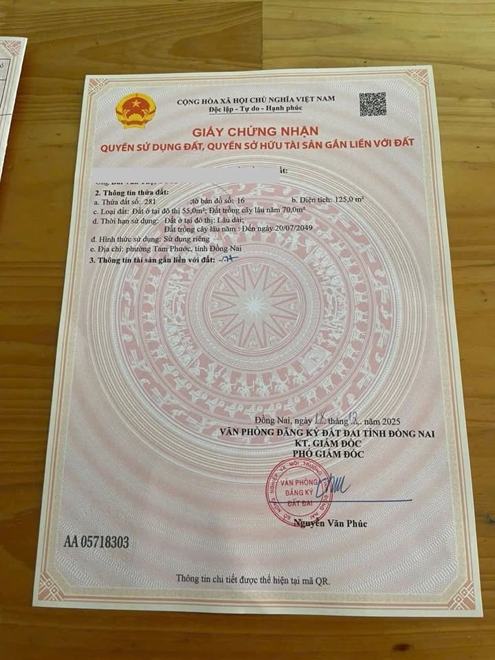 Nhà mặt tiền Mai Chí Thọ, Biên Hòa 125m² giá 1.6 tỷ - Cơ hội kinh doanh tuyệt vời!